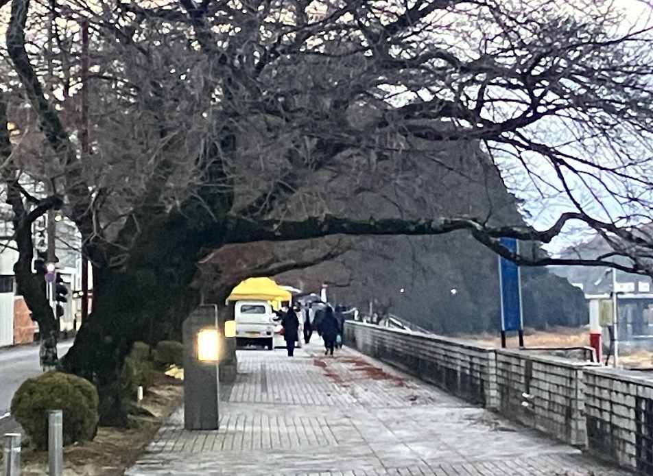 活気が溢れてきた朝市