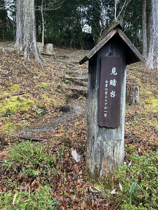 歳時記の森：見晴らし台までの道中３