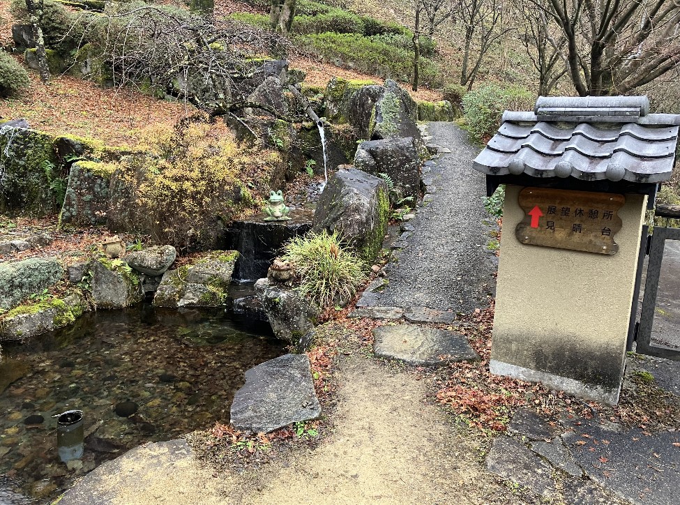 歳時記の森：見晴らし台までの道中１