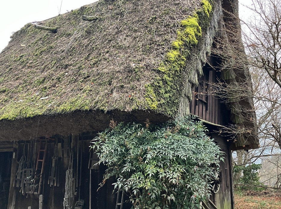 合掌村：合唱造りの建物２