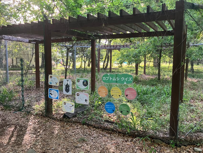 かぶとむしの森