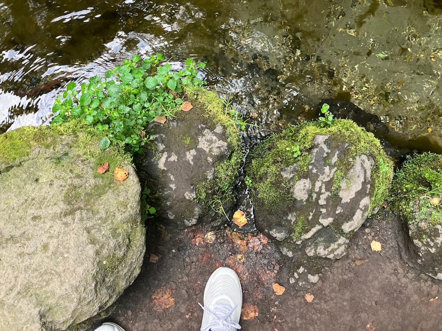 白糸の滝：陸との境目