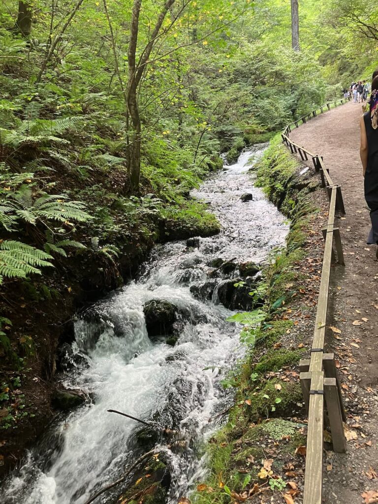 白糸の滝：道中１