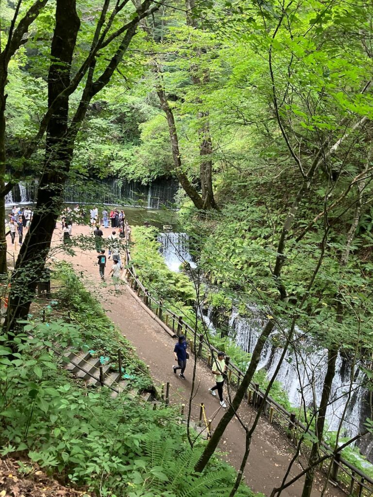 白糸の滝：高台