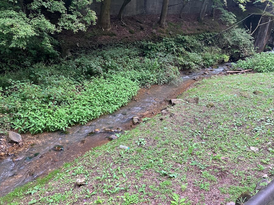 伊香保 茶色い川３