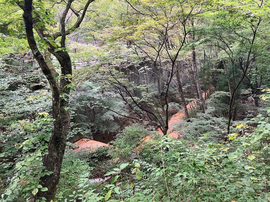 伊香保 茶色い川２