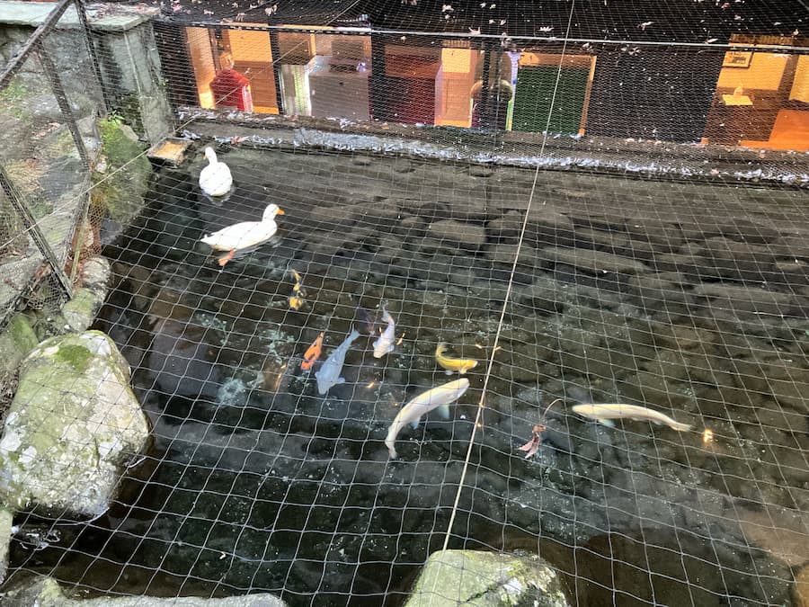 天成園:庭園エリア11