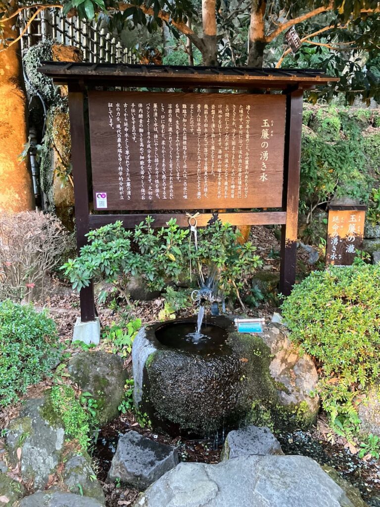 天成園:庭園エリア5