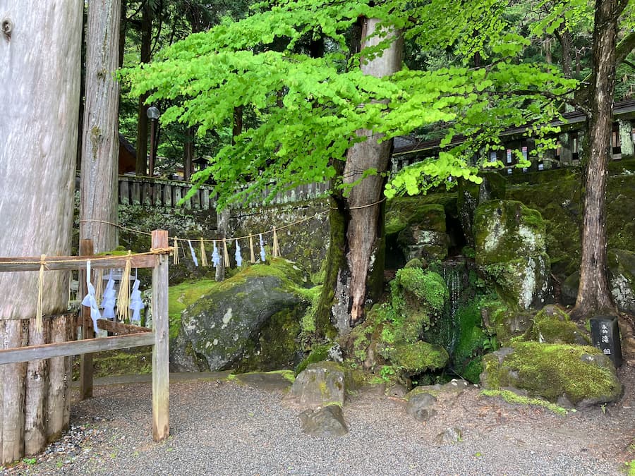 大宮神社：神社周辺景色