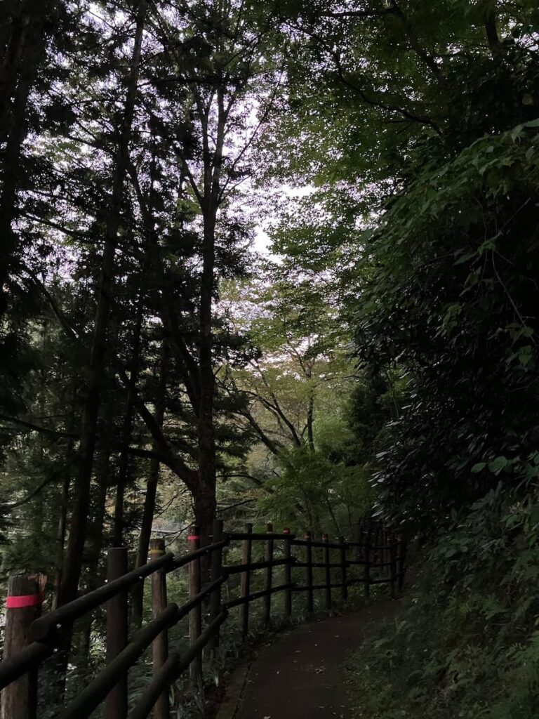つつじ橋ルート道中