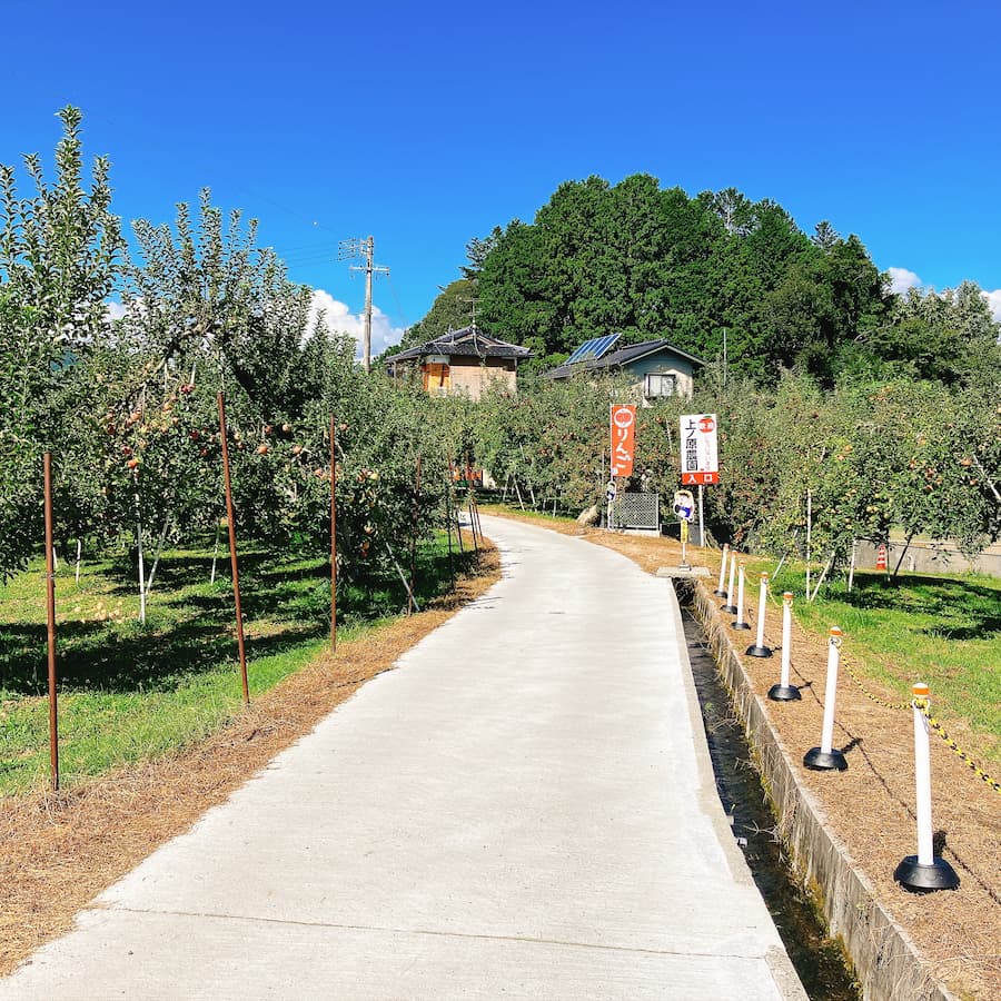 上ノ原農園